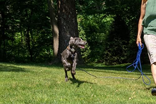 שרה הודג'סון קו ארוך קל ביותר אי פעם רצועת כלבים מחמד, כחול, 50 רגל, התנהגויות בעייתיות - קפיצה, רודף, רגוע ומרגיע,