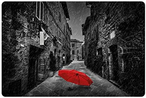 אמבסון שחור ולבן לחיות מחמד מחצלת עבור מזון ומים, אדום מטרייה על כהה צר רחוב בטוסקנה איטליה גשום חורף, מלבן