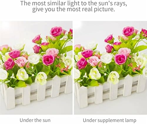 סטודיו ליוג'ון סטודיו Softbox ערכת תאורת תאורה רקע תמיכה בעמדת 4 תפאורה