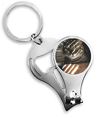 תצלום של חתול חיה צילום צילום ציפורניים טבעת ניפר טבעת שרשרת מפתח בקבוקי בקבוק קוצץ