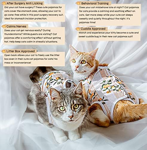 Nekopanco - סוודר חתולים, מיטת חתולים, חליפת התאוששות חתולים, בגדי חתולים לחתולים בלבד, תלבושת חתולים,