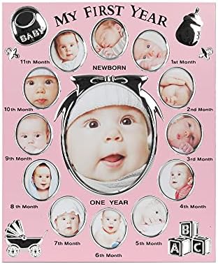 מסגרת תמונה לשנה הראשונה של בואנטורבו בייבי, שנה ראשונה לפי חודש, רישום תינוקות שזה עתה נולד