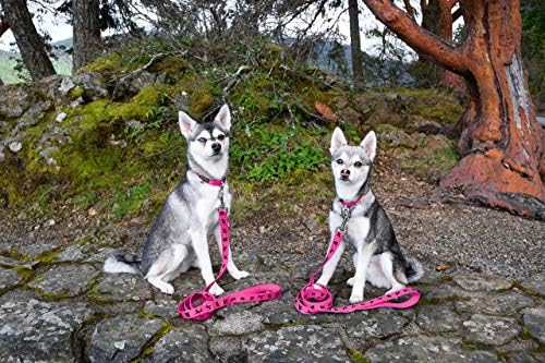 רצועת כלבים של Ecobark - רצועות נוחות רכות 5 רגל עם ידית מרופדת - חובה כבדה עמידה חזקה - אימונים