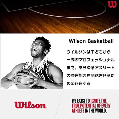 תיקי כדורסל של וילסון