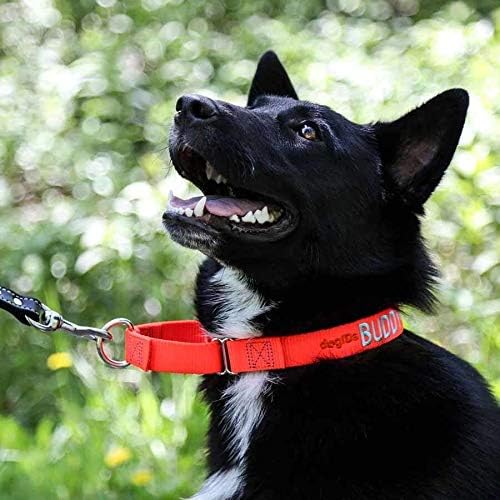 Dogids רקום מרטינגייל צווארון כלבים - מותאם אישית, עמיד, עמיד, בהתאמה אישית, בטוח, אימונים, מיוצר בארהב -