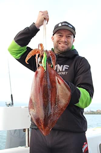 דגים פיתוי פיתול אגיליקום בגודל 3.5 אינץ 'סינון דיונון