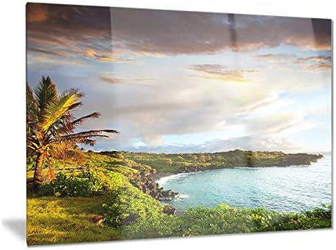 Designart Hawaii Ohu Island-Photography Wall Metal Art-MT6803-40X30, 40x30