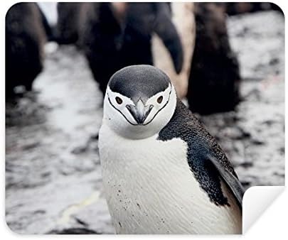 יבשתי אורגניזם בעלי החיים פינגווין ניקוי בד מסך מנקה 2 יחידות זמש בד