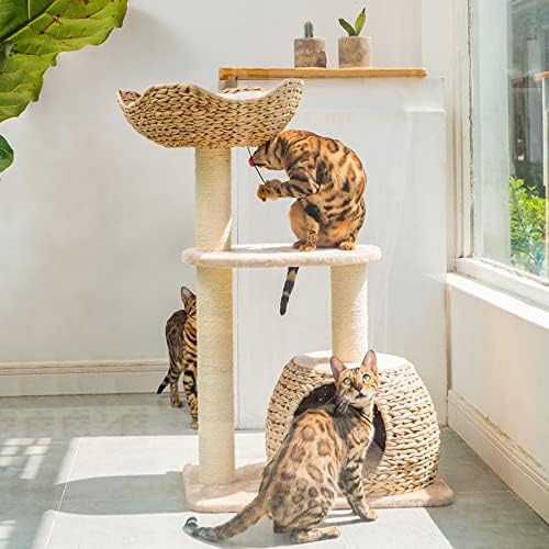 חתול עץ מגדל, חתול טיפוס מסגרת, 35 אינץ גבוהה עבור מקורה חתולים, רב-רמת חתול דירה עם טיפוס פלטפורמת