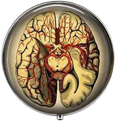 אנטומי מוח - מדע אמנות תמונה גלולת תיבת-קסם גלולת תיבת-זכוכית סוכריות תיבה