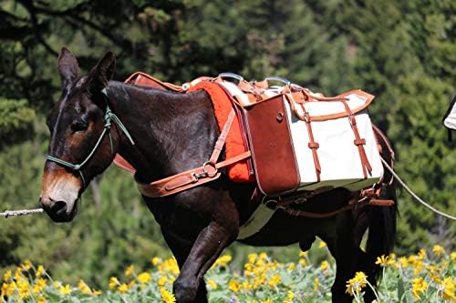 Outfitters מספקים אוכף חבילה של Decker Classic; אוכף חבילת דקר שלם; אריזה אוכף לסוסים ומול; עץ אוכף אריזת