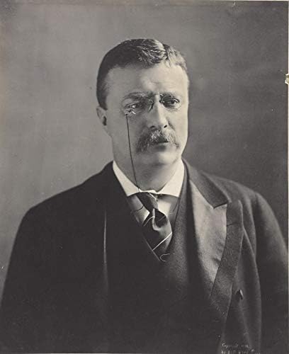 תצלום של תיאודור רוזוולט - יצירות אמנות היסטוריות משנת 1902 - דיוקן נשיא ארהב - - חצי גלוס