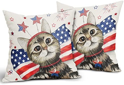 4 ביולי מיאו כרית חתול מכסה 18x18 בכוכבים אמריקאים פטריוטיים מארז כריות ספה דקורטיביות סט של 2 זיקוקין