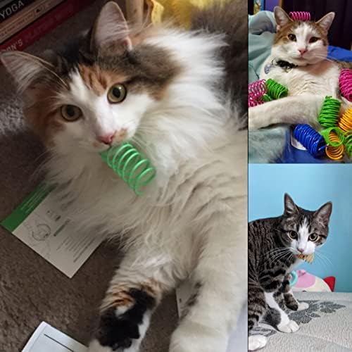 חתול אביב צעצועי 60 חבילה, צבעוני מעיינות חתול צעצועי אינטראקטיבי חתול צעצוע פלסטיק סליל ספירלת מעיינות יצירתי
