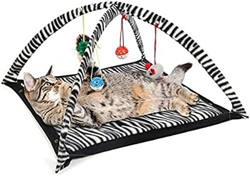 Fegoclt חתולים מצחיקים משחקים אוהל עם צעצועי כדור תלויים כדורי חתולים אוהל מיטה חתלתול מחצלת פעילות