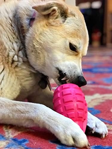 Sodapup USA-K9 רימון גורים-מתקן פינוקים של כלבים עמידים וצעצוע לעיסה שנעשו בארהב מחומר גומי טבעי
