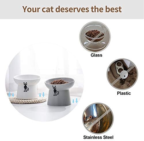 Tamaykim מוטה קערות חתולים מורמות קרמיקה, קערות מזון ומים של 8 גרם המוגדרים לחתלתול, חרסינה מוגבהת מתח