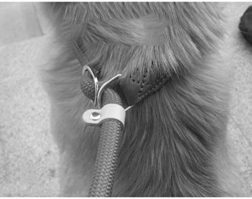 UXZDX כלב עופרת רצועה ניילון רצועת כלבים מתכווננת רתמת כלבים עמידה חגורת חבל קלה ציוד כלבים קלים אימוני חיות