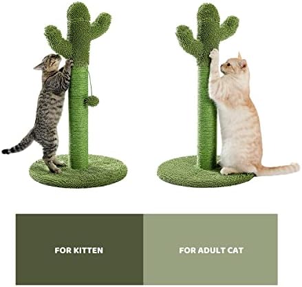 קקטוס חתול עץ גרדן עם סיסל גרוד אינטראקטיבי Ball.Cat הודעות שריטה מגיע עם קטיפה זרוק ברביקיו עבור אינטראקטיבי