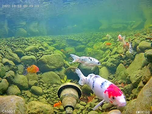 מצלמת ברלוס מתחת למים 5MP CMO