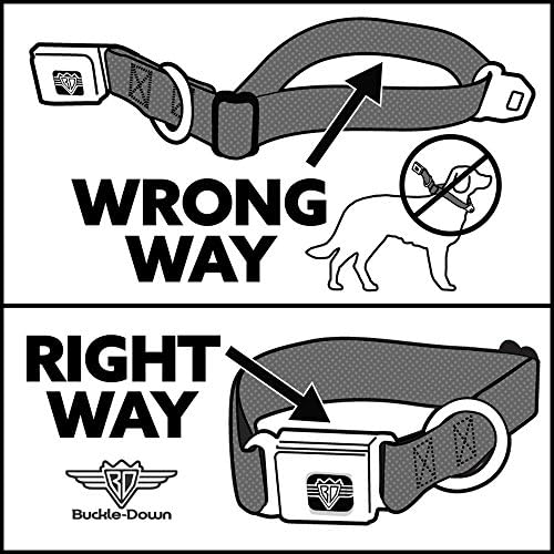 צווארון כלב אבזם קיר אבזם חגורת בטיחות קיר E מרמז פס שחור לבן 11 עד 17 אינץ 'ברוחב 1.0 אינץ', DC-SB-DYAHS-WDY679-1.0-M