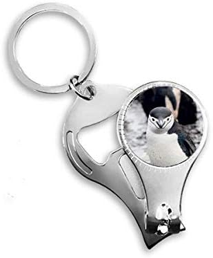 אורגניזם יבשתי פינגווין פינגווין פינגווין טבעת טבעת מפתח שרשרת מפתח פתיחת בקבוקי בקבוק