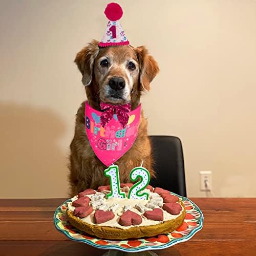 ציוד למסיבות יום הולדת לכלב PTDECOR, כובע יום הולדת לילד כלב ילד עם כלב כלב יום הולדת בנדנות כלב
