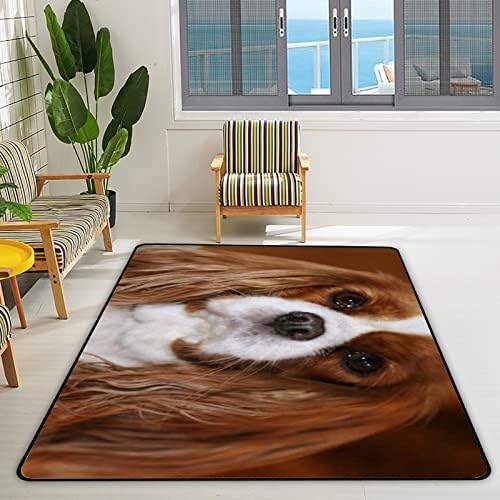 Xollar 60 x 39 בשטיחים גדולים לילדים שטיחים מקבלייה ספניאל כלב משתלת רכה שטיח פליימת פליימט לשטיח לחדר משחק