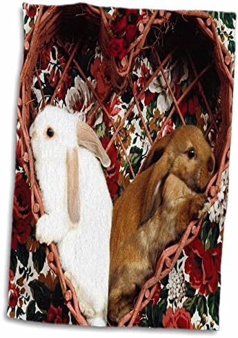 3DROSE FLORENE LIFE - ארנבות מדינה בסל בצורת לב - מגבות