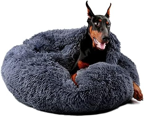 הימקס כלב מיטות לכלבים קטנים, סופגנייה כלב מיטה עם שמיכת מצורף, מרגיע כלב מיטת רחיץ