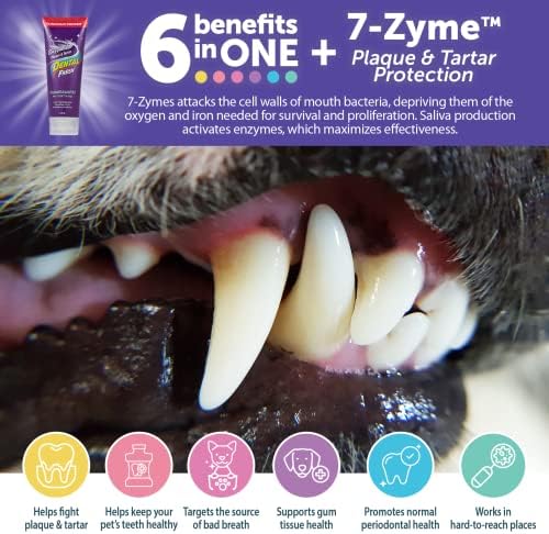 שיניים טרי אנזימטי ג ' ל כלב שן צחצוח ערכת, כולל טריפלקס מברשת שיניים-כלב מברשת שיניים ומשחת שיניים עבור