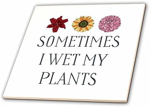 3רוז אבדאן - אמרות מצחיקות-לפעמים הרטבתי את הצמחים שלי-אריחים