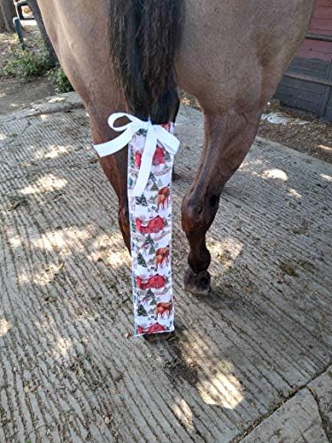 ליון & סמית זנב תיק עבור סוסים סטנדרטי גודל כיף צבעים סוס זנב שק