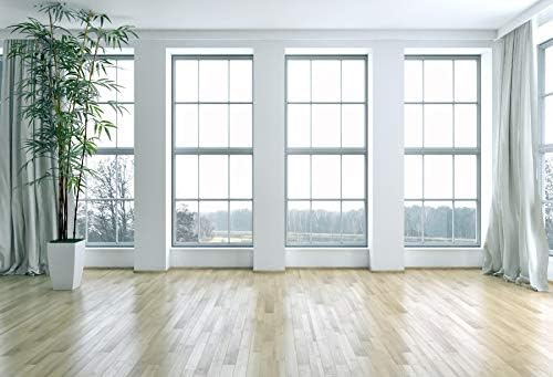 יייל 12 על 6 רגל רקע חדר ריק חלונות צרפתיים צמחי סלון רצפת עץ רקע לצילום מודרני פנים חדר בית בית משרד דקור