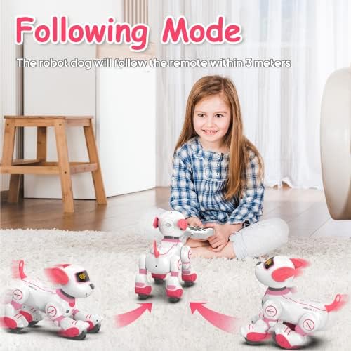 SONOMO שלט רחוק צעצוע גור רובוטי - כלב פעלולים מהנה ותוכנית לילדים בגילאי 3-8 ורוד