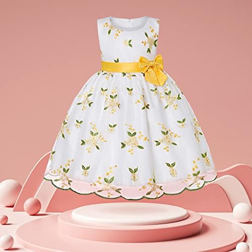 שמלה רשמית עבור בנות רקום קשת שמלת רשת נסיכת ילדות קטנות קיץ רקום רשת טוטו שמלה