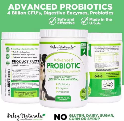 Deley Naturals Probiotics + UTI לכלבים, 2 x 120 לעיסה רכה עוף ללא תבואה, תוצרת פינוקים של כלבים בארהב,
