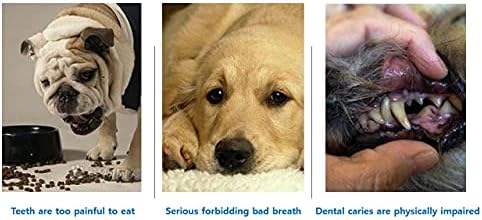 האן.ד 15 חתיכות כלב מברשת שיניים לחיות מחמד אצבע מברשת שיניים רך סיליקון כלב אצבע מברשת שיניים עבור רוב