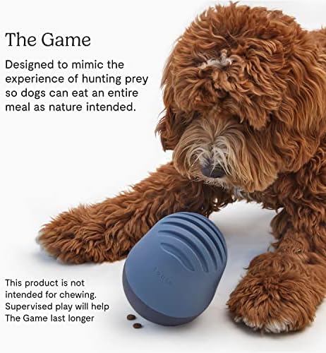 אגדה המשחק מטפל בחילוק צעצוע של כלבים - כלב טיפש צעצועים בידור אינטראקטיבי וגירוי נפשי - צעצוע