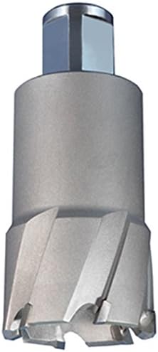 Alfa Tools RCT74552 Tungsten Carbide הטה את Rotacutter עם 3/4 Weldon Shank, 2 x 2