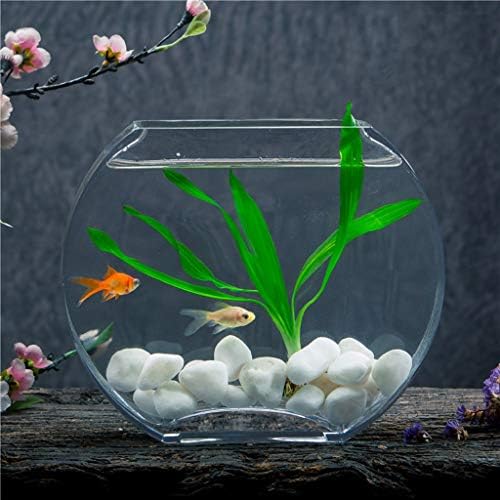 Hanxiaoyishop קערת דגים אישיות יצירתית בצורת אפרסק שטוחה עגולה מיכל דגים אקווריום שולחן סלון