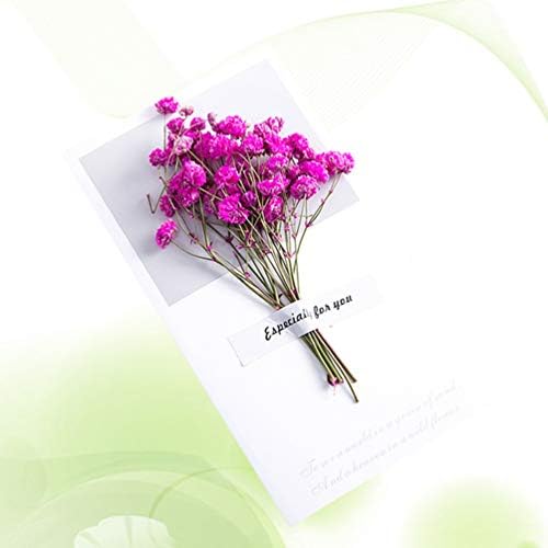 Tomaibaby 6 PCS כרטיסי הזמנה לפרחים כרטיסי ברכה פרח מיובש DIY ליום האהבה יום יום הולדת יום הולדת כרטיס הזמנה