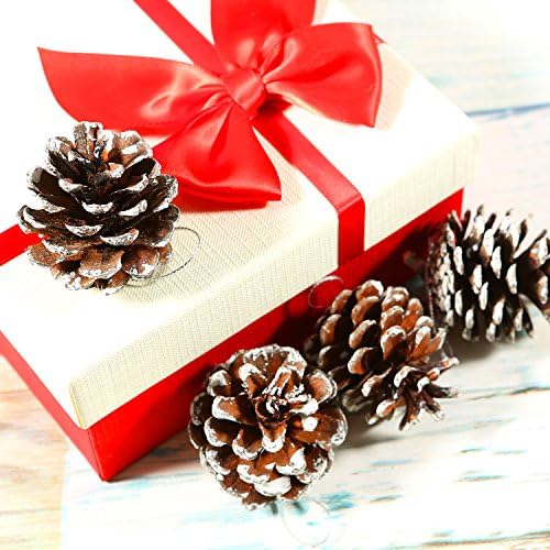 24 חתיכות חג המולד אצטרובלים קישוט טבעי אצטרובלים עם מחרוזת תליון מלאכות עבור מתנה תג חג המולד עץ