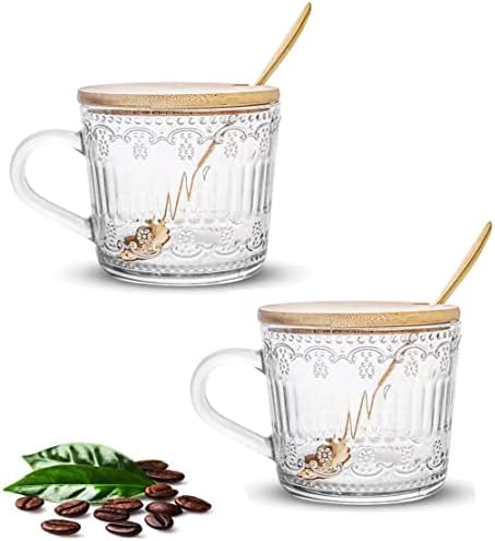 דוניו 2 מארז 14.5 עוז ספל קפה מזכוכית עם מכסה, כוסות כוסות שתייה פרימיום, סט כלי זכוכית וינטג ' לקפה,