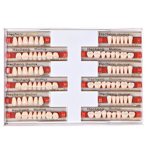 Angzhili 84 PCS שיניים שלמות שרף אקרילי תות