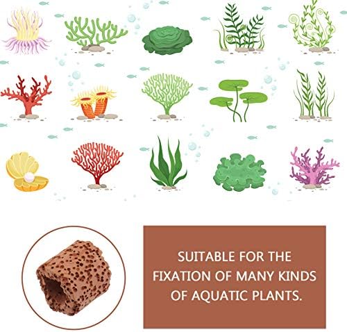 צמח מים טבעות 10 יחידות אנטי צף קרמיקה אקווריום צמחים קבוע טבעות-צמחים משקולות מחזיקי עוגנים עבור אקווריום
