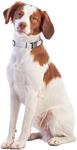 צווארון כלבים סיליקון בינוני סיליקון - לבן 20 אינץ 'צווארון כלבים מסוגנן עם אבזם אבזם ורצועת רצועה D