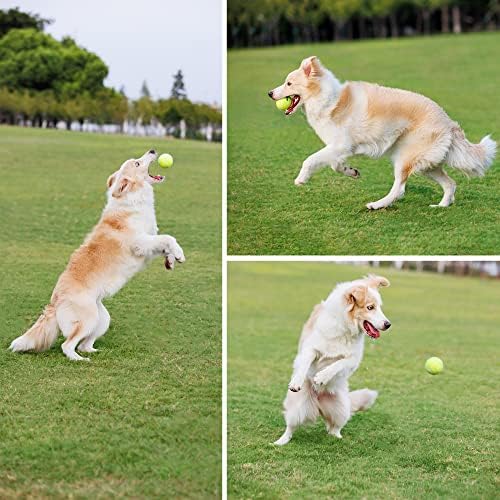 כדורי טניס לכלבים של הונבינור, 12 חבילות קל לתפוס כדורי טניס לחיות מחמד לכלבים, צעצועי כדורי כלבים אינטראקטיביים