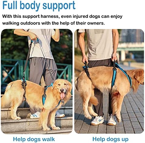 רתמת הרמת כלבים של אלדום, קלע תמיכה לגוף מלא עם ידית ומתלה כתף רתמת תמיכה לכלבים מתכווננת לתמיכה ברגליים אחוריות,