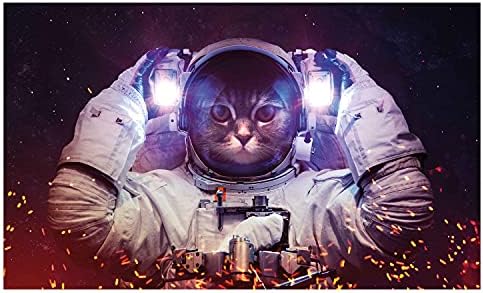 מחזיק מברשת שיניים קרמיקה של Ambesonne Cat, חתול אסטרונאוט בחליפה בחלל החיצוני ערפילית גלקסי קוסמוס, תמונת